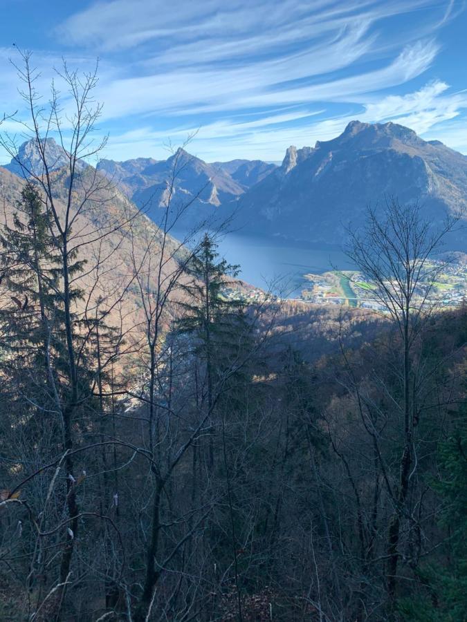 Bergglueck - Gemuetliches Appartement Am Traunsee Altmuenster Luaran gambar